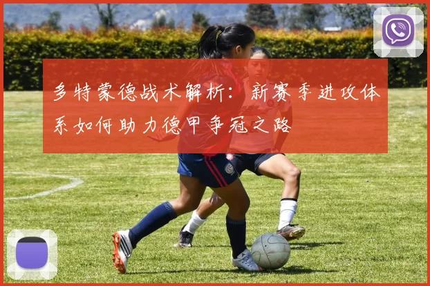 多特蒙德战术解析：新赛季进攻体系如何助力德甲争冠之路