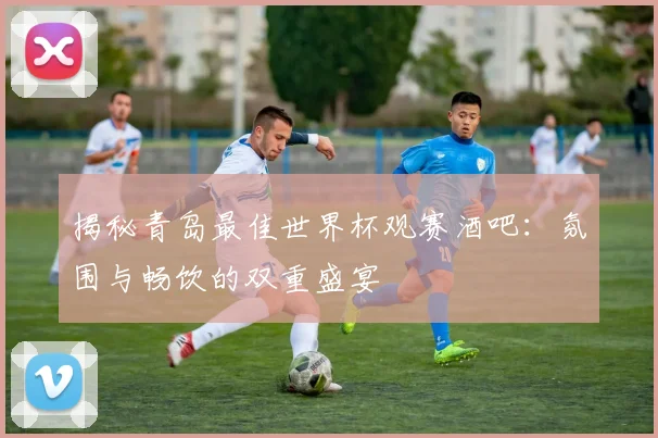 揭秘青岛最佳世界杯观赛酒吧：氛围与畅饮的双重盛宴