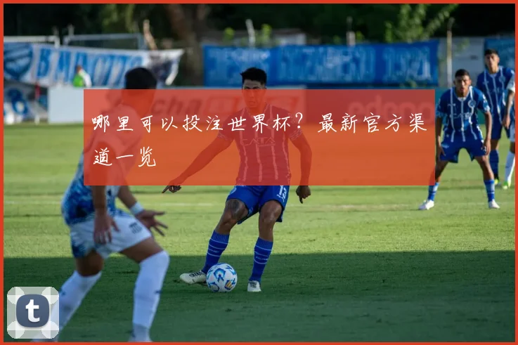 哪里可以投注世界杯？最新官方渠道一览