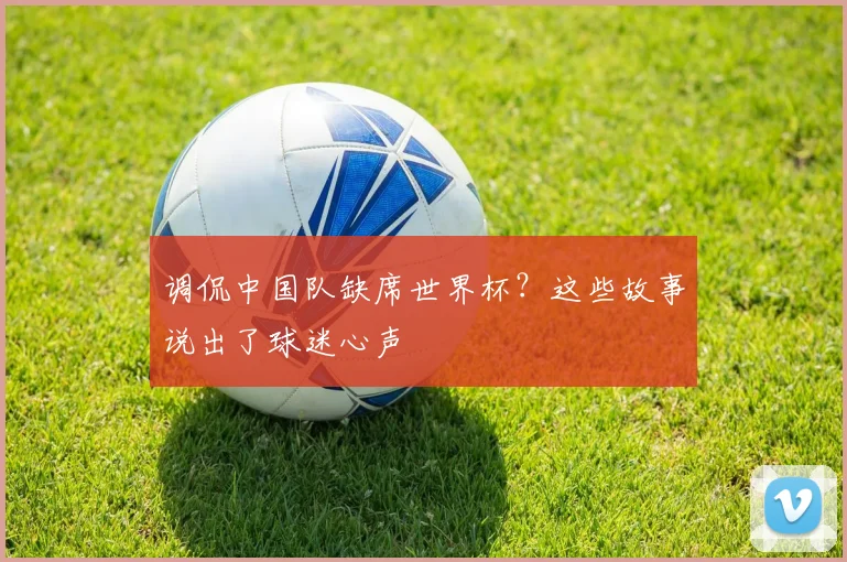 调侃中国队缺席世界杯？这些故事说出了球迷心声