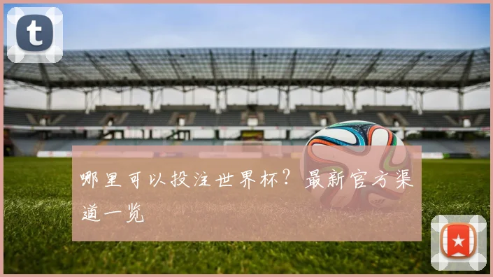 哪里可以投注世界杯？最新官方渠道一览