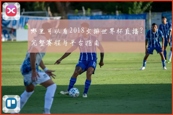 哪里可以看2018女排世界杯直播？完整赛程与平台指南