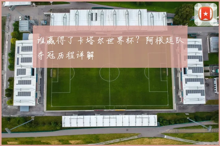 谁赢得了卡塔尔世界杯？阿根廷队夺冠历程详解
