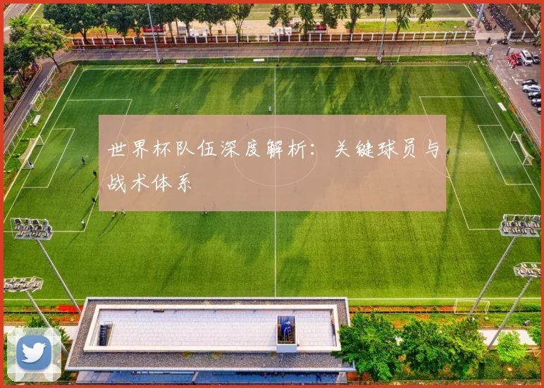 世界杯队伍深度解析：关键球员与战术体系