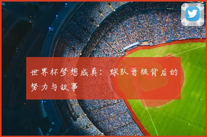 世界杯梦想成真:球队晋级背后的努力与故事
