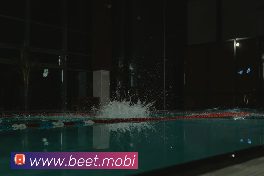 多媒体互动体验