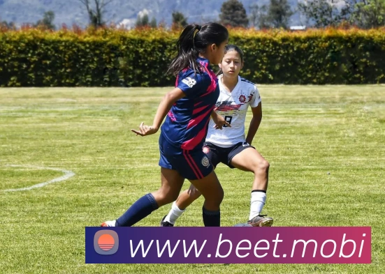 开云手机入口登录官网APP 体育赛事宣传图